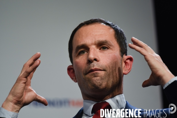 Benoît Hamon meeting de Lille