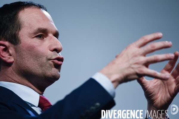 Benoît Hamon meeting de Lille