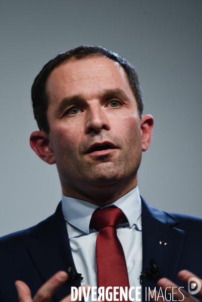 Benoît Hamon meeting de Lille