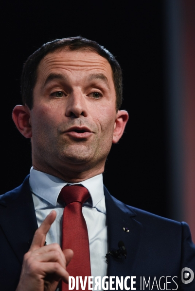 Benoît Hamon meeting de Lille