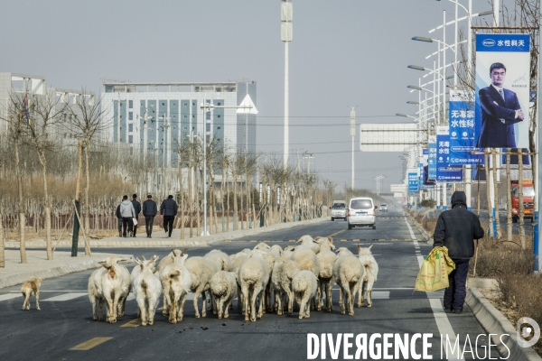 Les Avenirs de Lanzhou - Histoire d Urbanisation dans le  Nord-Ouest chinois
