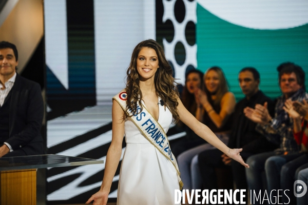 Le business Miss France