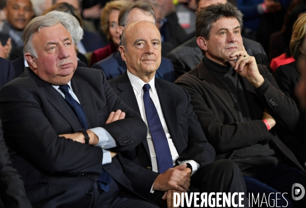 Gerard Larcher Alain Juppé Henri de Castries