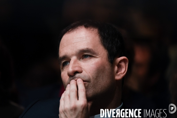 Benoît Hamon, convention d investiture