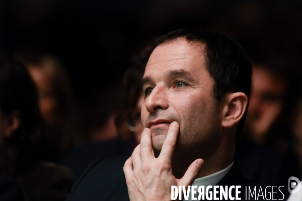 Benoît Hamon, convention d investiture