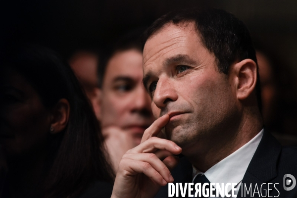 Benoît Hamon, convention d investiture