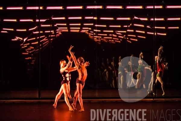 Tree of Codes /  Wayne McGregor /  Olafur Eliasson / Jamie xx