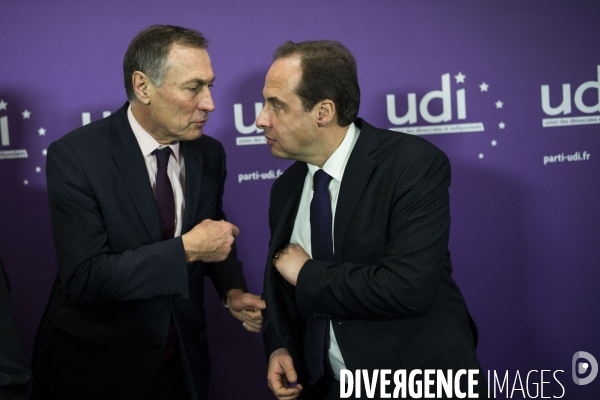 Voeux de l UDI.