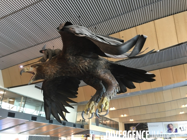 Gandalf et son aigle dans l aeroport de wellington