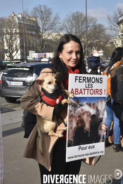 Action pour montrer la réalité des abattoirs Paris 2017. Action for animals.