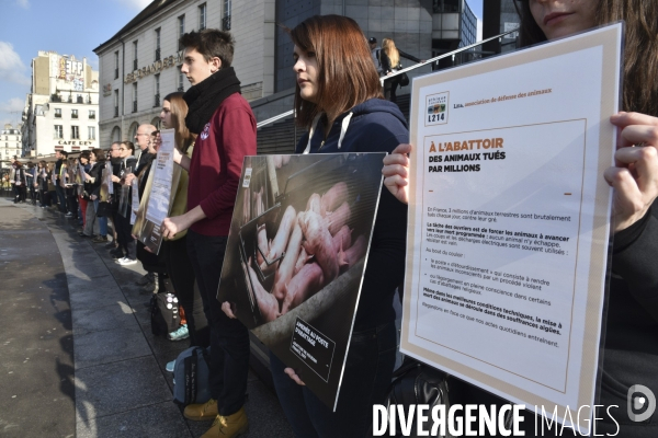 Action pour montrer la réalité des abattoirs Paris 2017. Action for animals.