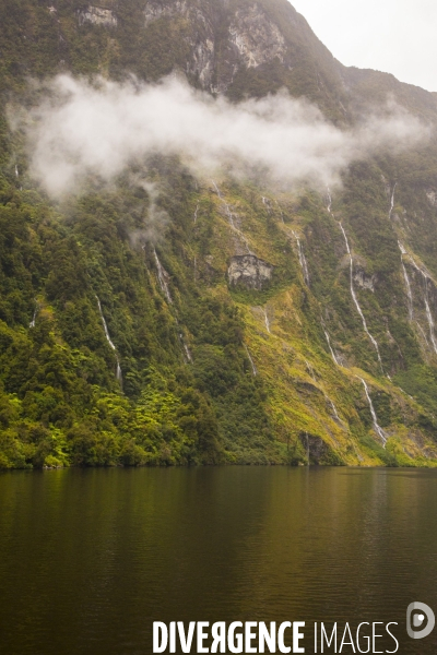 Doubtful sound/nouvelle zelande