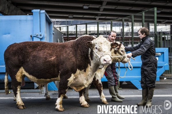 Salon de l Agriculture 2017 #1 J-1