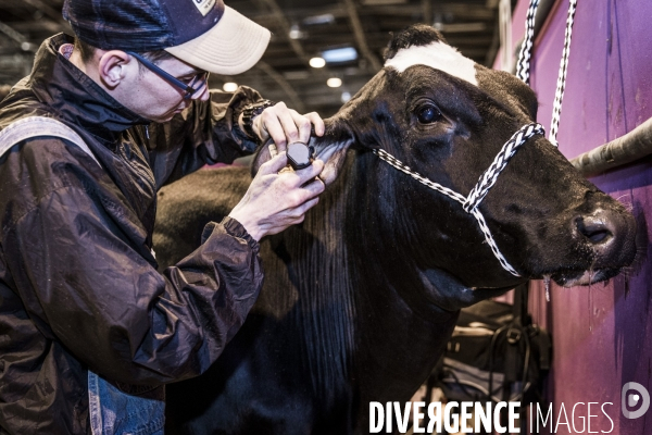 Salon de l Agriculture 2017 #1 J-1