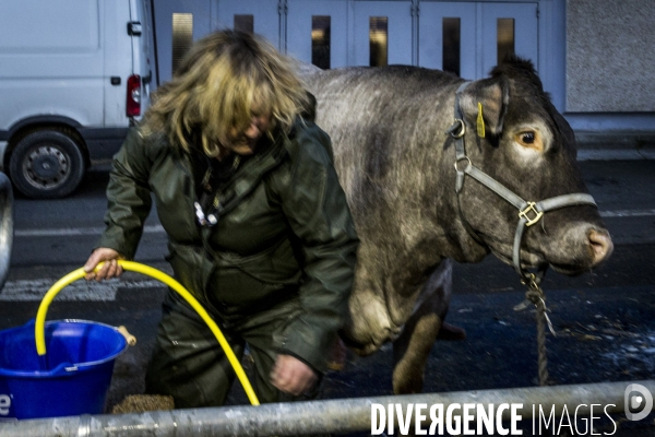 Salon de l Agriculture 2017 #1 J-1