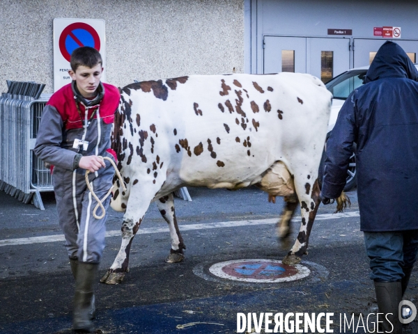 Salon de l Agriculture 2017 #1 J-1