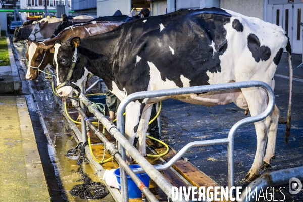 Salon de l Agriculture 2017 #1 J-1