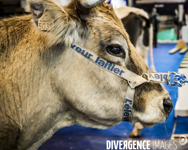 Salon de l Agriculture 2017 #1 J-1