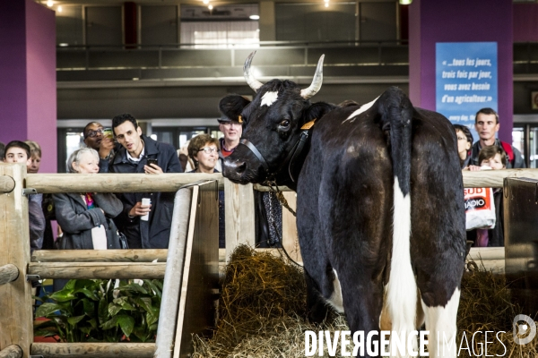 Salon de l Agriculture 2017 #2