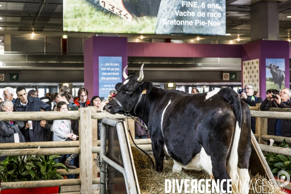 Salon de l Agriculture 2017 #2
