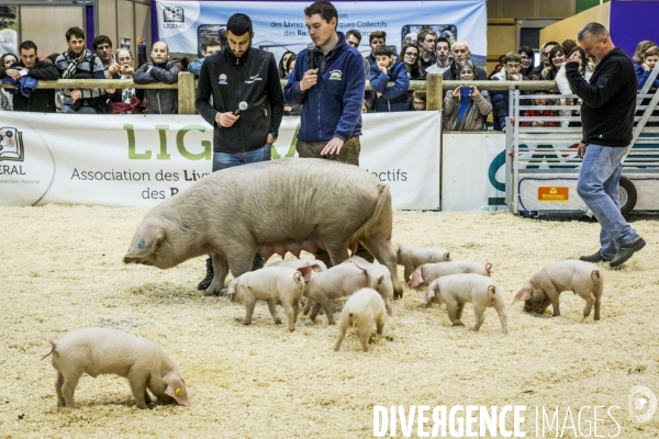 Salon de l Agriculture 2017 #2