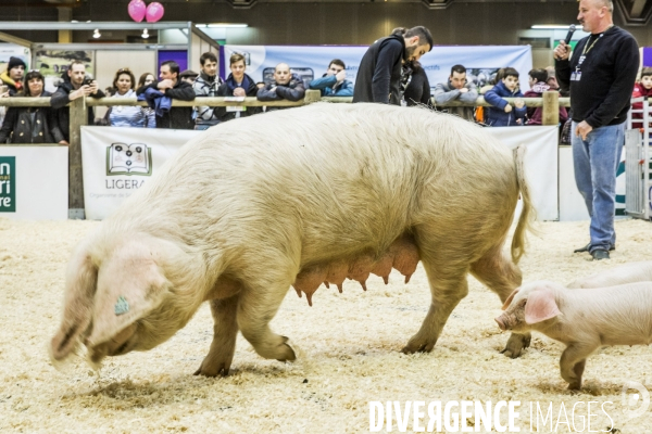 Salon de l Agriculture 2017 #2