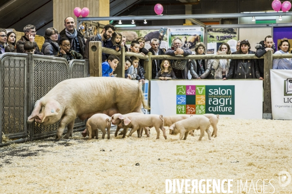 Salon de l Agriculture 2017 #2