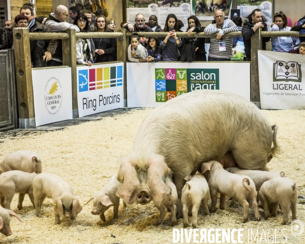 Salon de l Agriculture 2017 #2