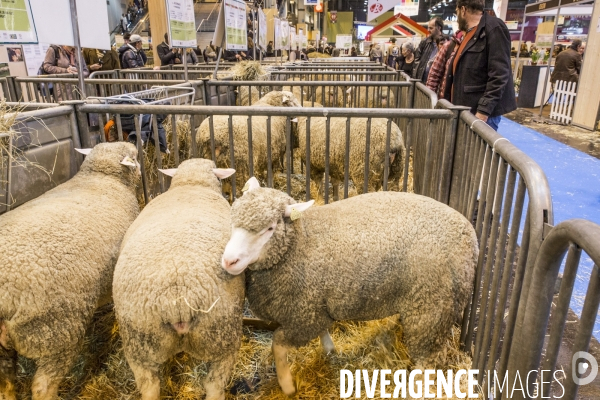 Salon de l Agriculture 2017 #2