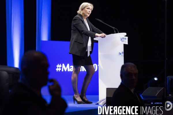 Meeting de campagne de Marine Le PEN, la candidate du Front National (FN)  pour l élection présidentielle de 2017 à Nantes.