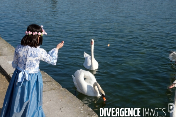 Illustration Fevrier2017.Dans le parc du chateau de Fontainebleau une petite fille habillee en princesse donne a manger aux cygnes