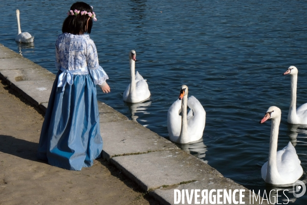 Illustration Fevrier2017.Dans le parc du chateau de Fontainebleau une petite fille habillee en princesse donne a manger aux cygnes
