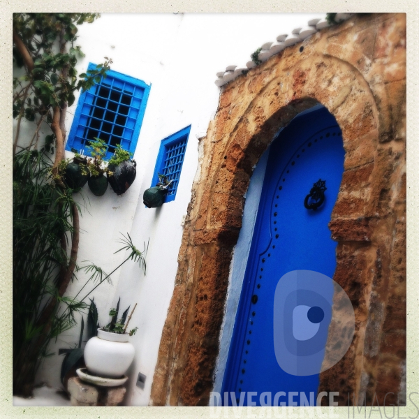 Cartes postales pour une Fée : Bleu de Sidi Bou Said
