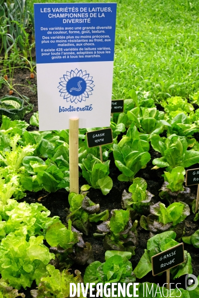 Salon international de l agriculture 2017.Les salades championnes de la diversite