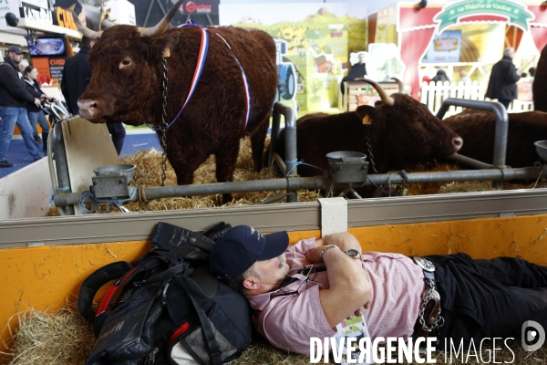 Choses vues au salon de l Agriculture