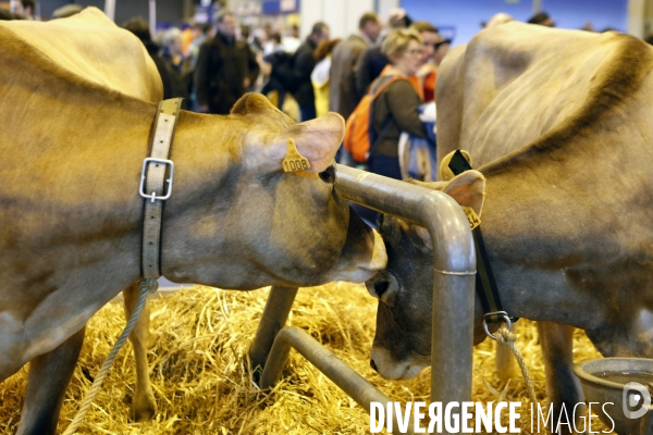 Choses vues au salon de l Agriculture