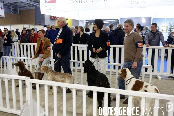 Choses vues au salon de l Agriculture