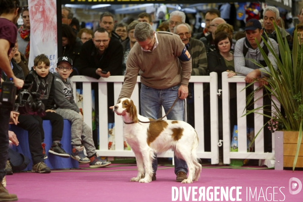 Choses vues au salon de l Agriculture