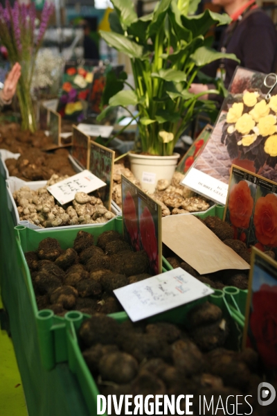 Choses vues au salon de l Agriculture