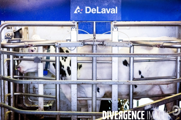 La ferme expérimentale de Derval