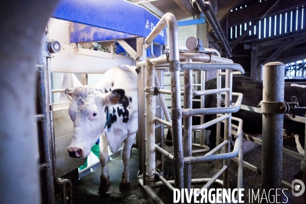 La ferme expérimentale de Derval