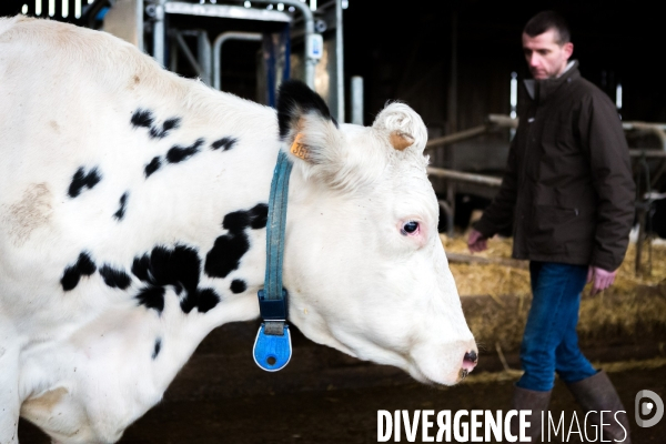 La ferme expérimentale de Derval