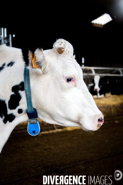 La ferme expérimentale de Derval