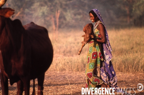 TCHAD : Tribus autour du Lac Tchad