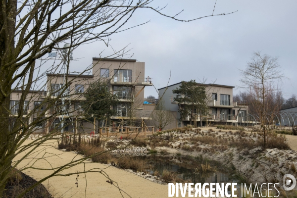 Chantier du futur Villages Nature