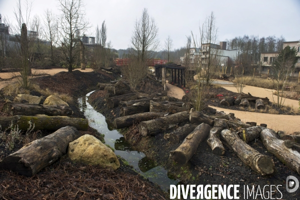 Chantier du futur Villages Nature