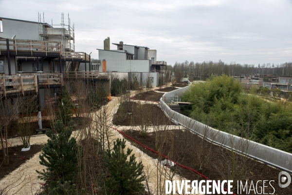 Chantier du futur Villages Nature