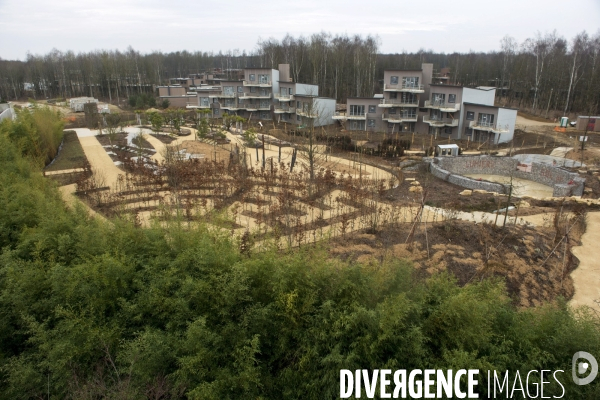 Chantier du futur Villages Nature