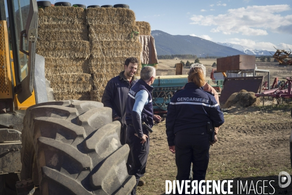 Petite Chronique d en Haut: Les Gendarmes