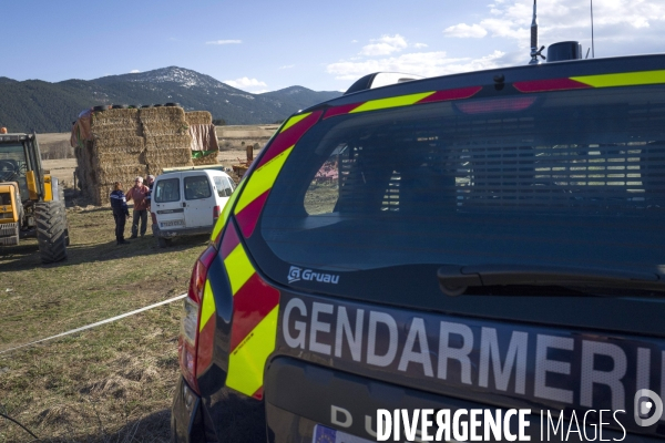 Petite Chronique d en Haut: Les Gendarmes